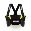 Bengio Carbon rib protector
