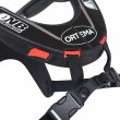 Ortema Neck Brace V 3.0