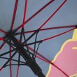 Sparco Red Bull Umbrella