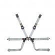 OMP One-D 2 Formula 6 point FIA harnesses