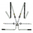 OMP One-D Pull Down 6 point FIA harnesses