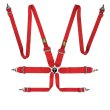 OMP First 3”+2” 6 point FIA harnesses
