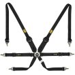 OMP One 3+2 Convertible 6 point FIA harnesses