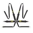 OMP Tecnica 3"+2" 6 point FIA harnesses