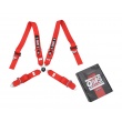 QMS 4 point FIA 3" 2025 harnesses