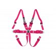QMS 6 point FIA HANS ALU 2025 harnesses