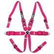 QMS 6 point FIA HANS 2025 harnesses