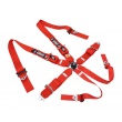 QMS 6 point FIA 3" 2025 harnesses