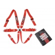 QMS 6 point FIA 3" 2025 harnesses