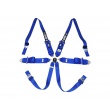 QMS 6 point FIA HANS 2025 harnesses