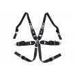 QMS 6 point FIA HANS 2025 harnesses
