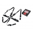 QMS 6 point FIA HANS 2025 harnesses
