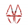 QMS 6 point FIA HANS ALU 2025 harnesses