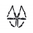 QMS 6 point FIA HANS ALU 2025 harnesses