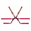 Sabelt Gold Formula 6 point FIA harnesses
