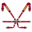 Sabelt Gold 6 point FIA harnesses
