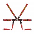 Sabelt Steel Formula Mid 6 point FIA harnesses