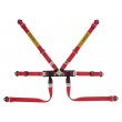 Sabelt Steel Formula basic 6 point FIA harnesses