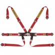 Sabelt Silver Formula 6 point FIA harnesses