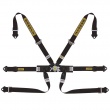Sabelt Silver Formula 6 point FIA harnesses