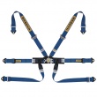 Sabelt Silver Formula 6 point FIA harnesses