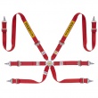 Sabelt Silver Rally 6 point FIA harnesses