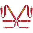 Sabelt Silver Rally 3x3 6 point FIA harnesses