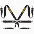 Sabelt Silver Rally 3x3 6 point FIA harnesses