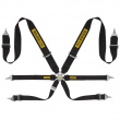 Sabelt Steel Rally 3x2 6 point FIA harnesses