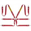 Sabelt Steel Rally 6 point FIA harnesses