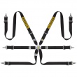 Sabelt Steel Rally 6 point FIA harnesses