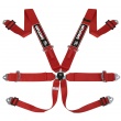 Sandtler Sponsor 6 point FIA 3” harnesses