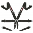 Sandtler Sponsor 6 point FIA 3” harnesses