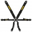 Schroth Profi 3x2 6 point FIA harnesses