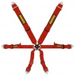 Schroth Profi 3x2 6 point FIA harnesses