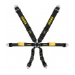 Schroth Enduro 3x2 / 2x2 6 point FIA harnesses