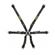 Schroth Flexi 2x2 6 point FIA harnesses