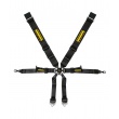 Schroth Profi 2x2 Porsche 996/997 6 point FIA harnesses