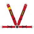 Schroth Profi II-FE ASM 4 point ECE/FIA harnesses