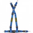 Schroth QuickFit 4 point ECE harnesses