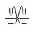 Sparco 6 point FIA 2" COMPETITION harnesses
