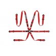 Sparco 6 point FIA 2" COMPETITION harnesses