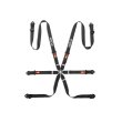 Sparco 6 point FIA 2" COMPETITION PU harnesses