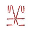 Sparco 6 point FIA 2" COMPETITION PU harnesses