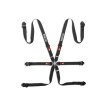 Sparco 6 point FIA 2" COMPETITION PD STEEL harnesses