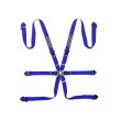 Sparco 6 point FIA 2" COMPETITION PD Martini Racing harnesses