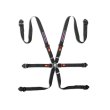 Sparco 6 point FIA 2" COMPETITION PD Martini Racing harnesses