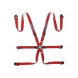 Sparco 6 point FIA 2" COMPETITION PD Martini Racing harnesses