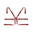 Sparco Formula H-7 6 point harnesses