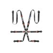 Sparco 6-pkt FIA 2" FORMULA H9 Endurance NR Racing Harnesses